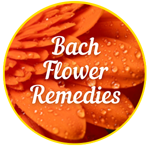 Bach Remedies