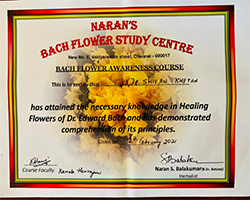 Naran Back Study Center